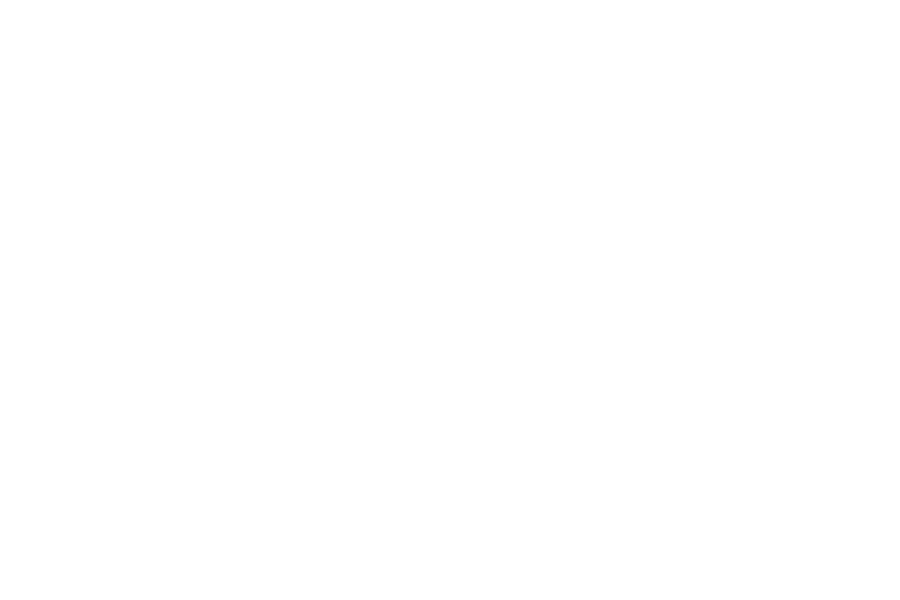 STYLUS